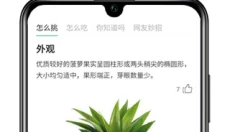 果蔬百科 截图