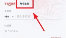 九安监控 截图