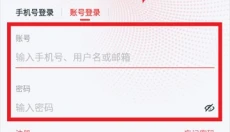 九安监控 截图