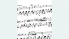 PIASCORE 截图