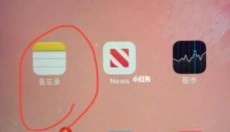 PIASCORE 截图