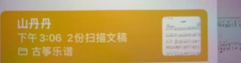 PIASCORE 截图