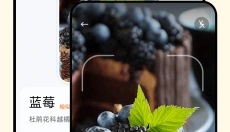 识万物扫一扫免费版 截图