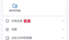 MXPlayer专业版 截图
