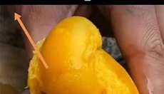 快手极速版软件 截图