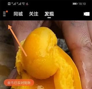 快手极速版软件