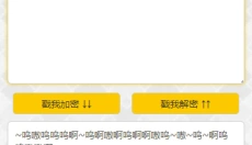 与熊论道解密翻译器 截图