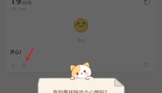 心岛日记 截图