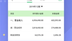 柠檬云财务 截图