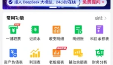 柠檬云财务 截图