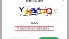 柠檬云财务 截图