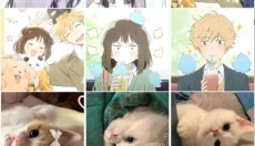 暮光壁纸手机版 截图
