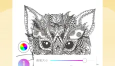 鲜柚壁纸app 截图