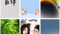 口袋壁纸最新版 截图