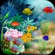 水族馆动态壁纸