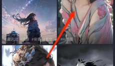次元壁纸安卓版 截图