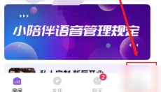 小陪伴语音 截图