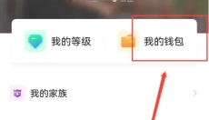小陪伴语音 截图