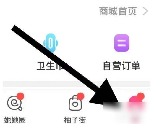 小陪伴语音