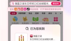 淘粉吧 截图
