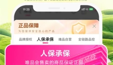 唯品会官网 截图
