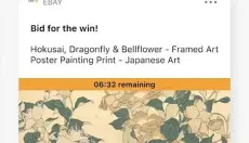 eBay 截图