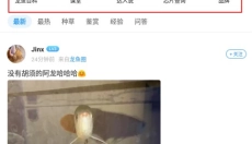 龙巅app安卓版 截图