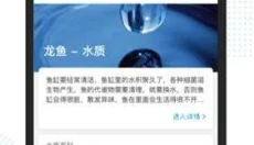 龙巅app安卓版 截图