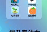 专注学习