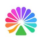 大麦app官网