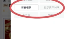 theoneart 截图