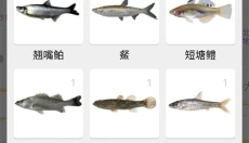 渔获app官网 截图