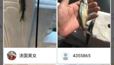 渔获app官网 截图