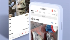 渔获app官网 截图