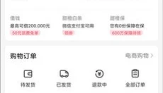 翼支付 截图