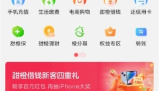 翼支付 截图