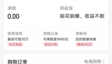 翼支付 截图
