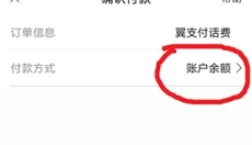 翼支付 截图