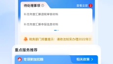 个人所得税新版 截图