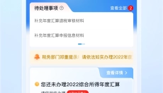 个人所得税新版 截图
