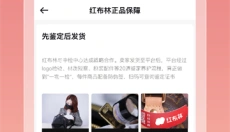 红布林 截图
