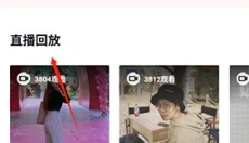 红布林 截图