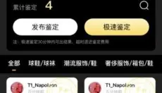 鉴定师 截图