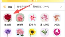 花比三家 截图