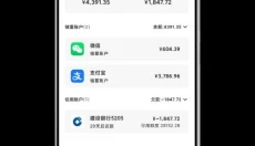 飞飞记账 截图