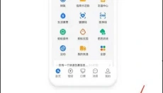 支付宝老年版 截图