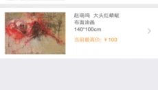 最优拍卖 截图