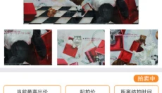 最优拍卖 截图