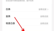 京东金融安卓 截图
