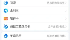 支付宝安卓 截图